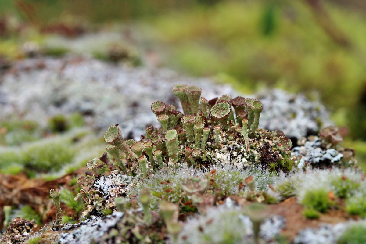 2014_09_08_00050587p_Bildgr��e �ndern