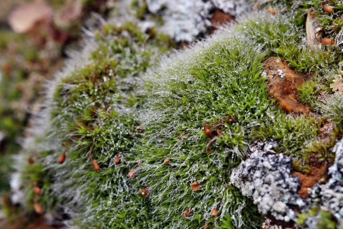 2014_09_08_00050593p_Bildgr��e �ndern