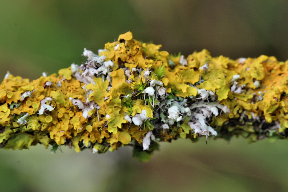 2014_09_08_00050605p_Bildgr��e �ndern