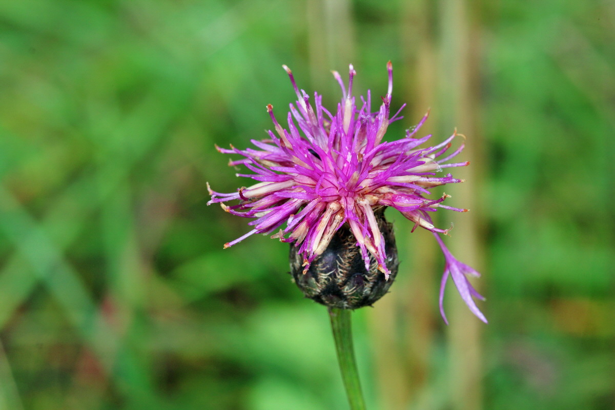 2014_09_08_00050614p_Bildgr��e �ndern