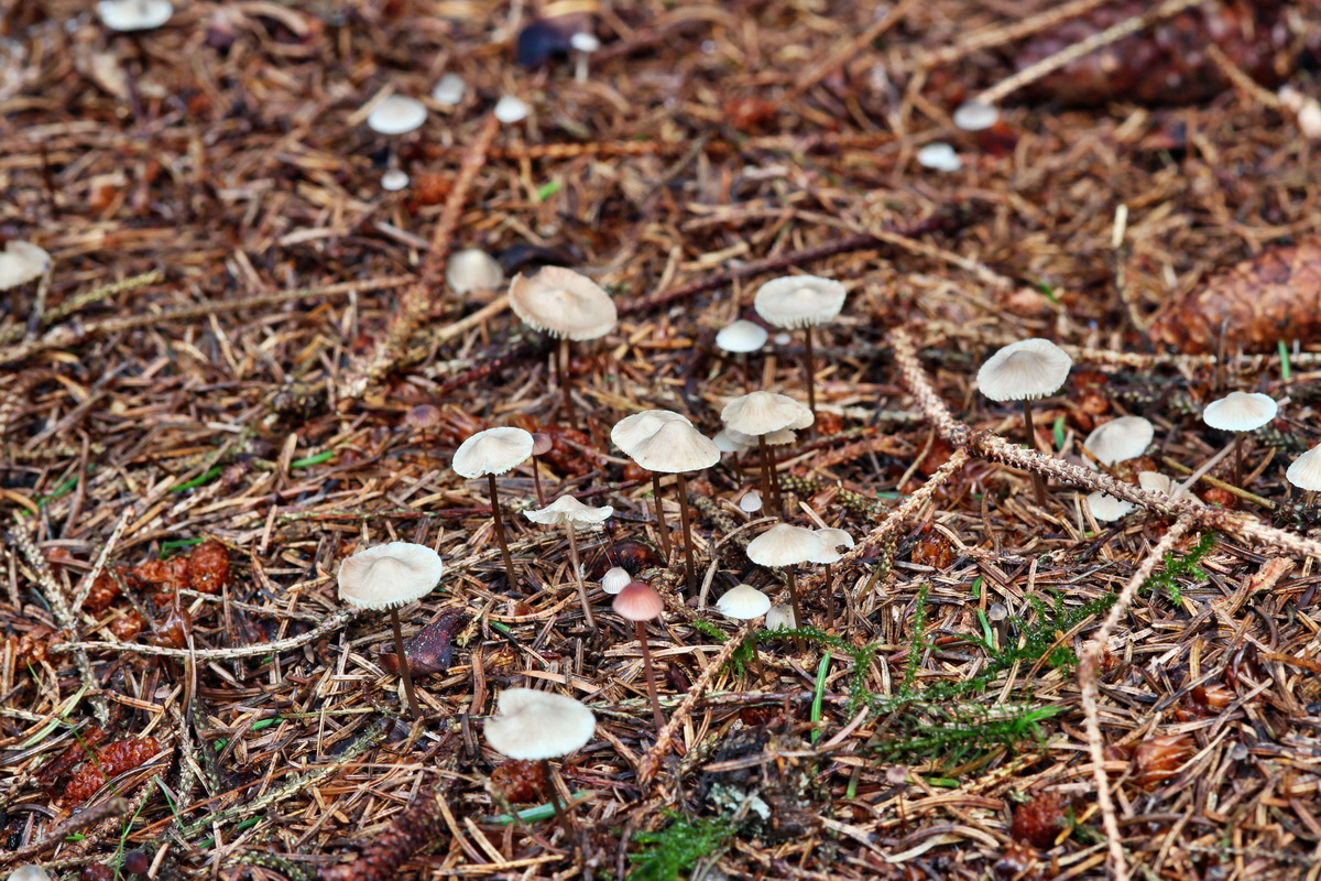 2014_09_08_00050619p_Bildgr��e �ndern