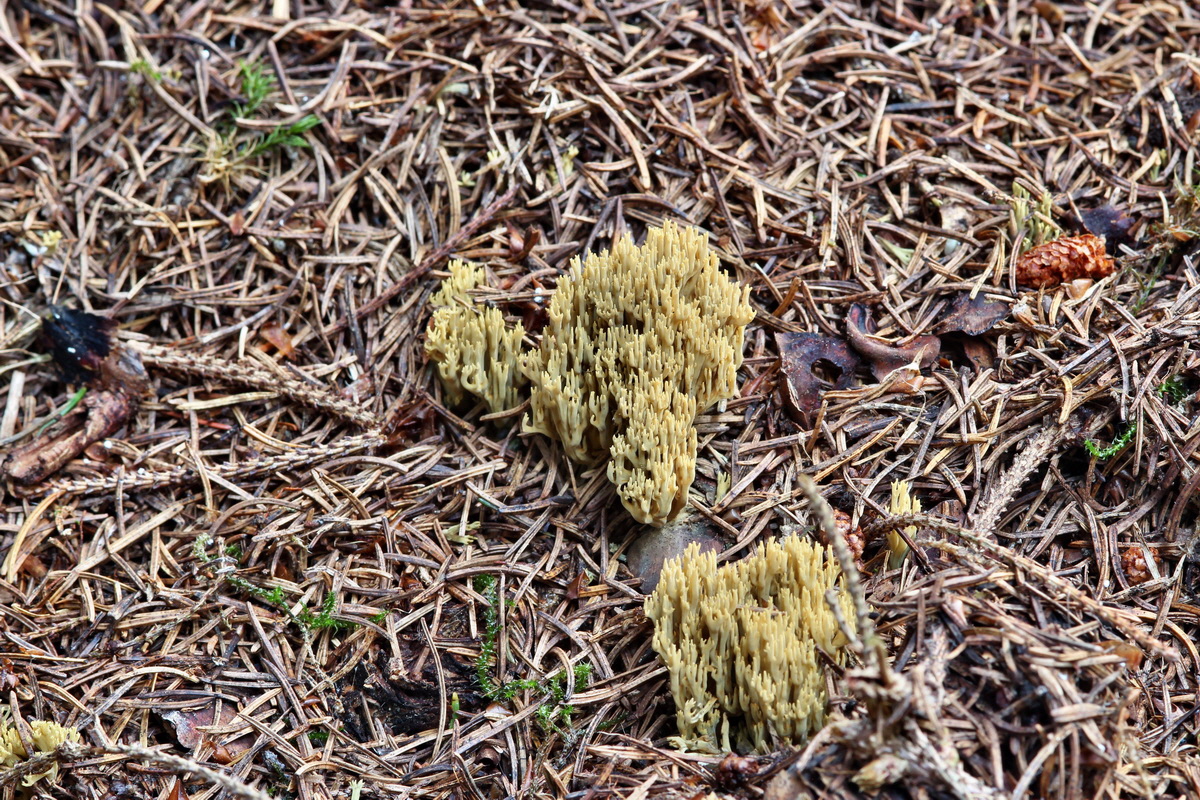 2014_09_08_00050621p_Bildgr��e �ndern