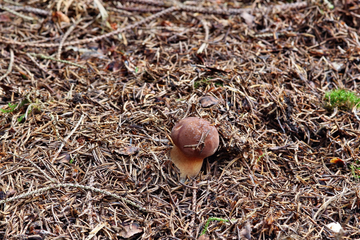 2014_09_08_00050623p_Bildgr��e �ndern