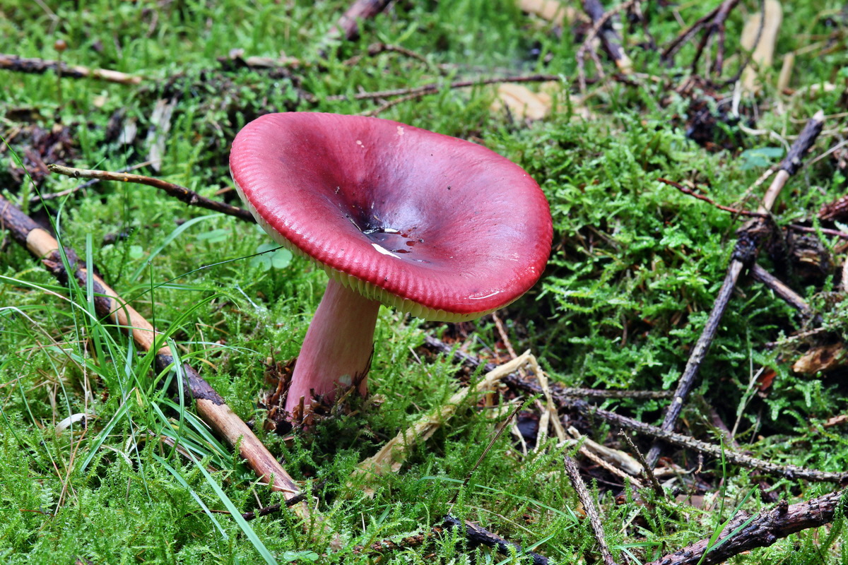 2014_09_08_00050629p_Bildgr��e �ndern