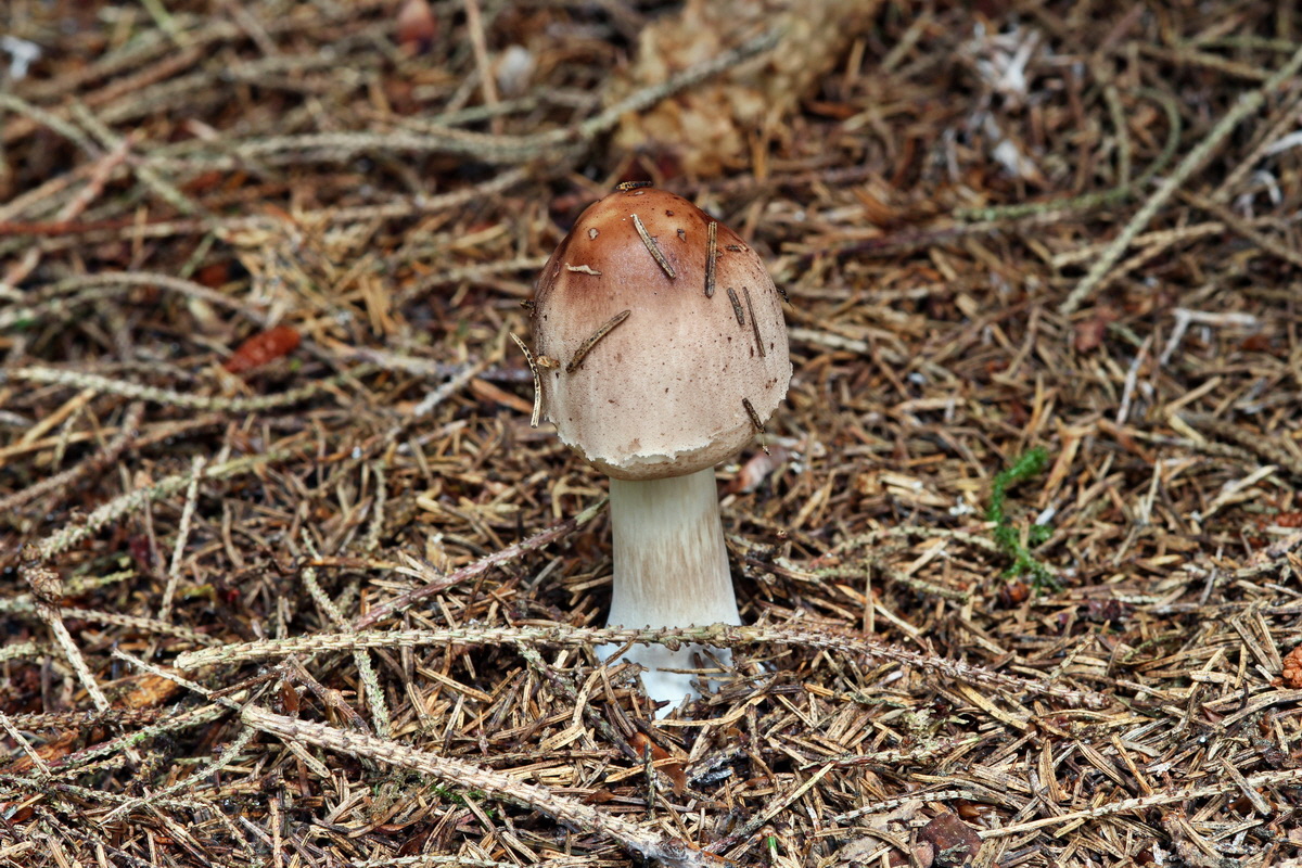 2014_09_08_00050631p_Bildgr��e �ndern