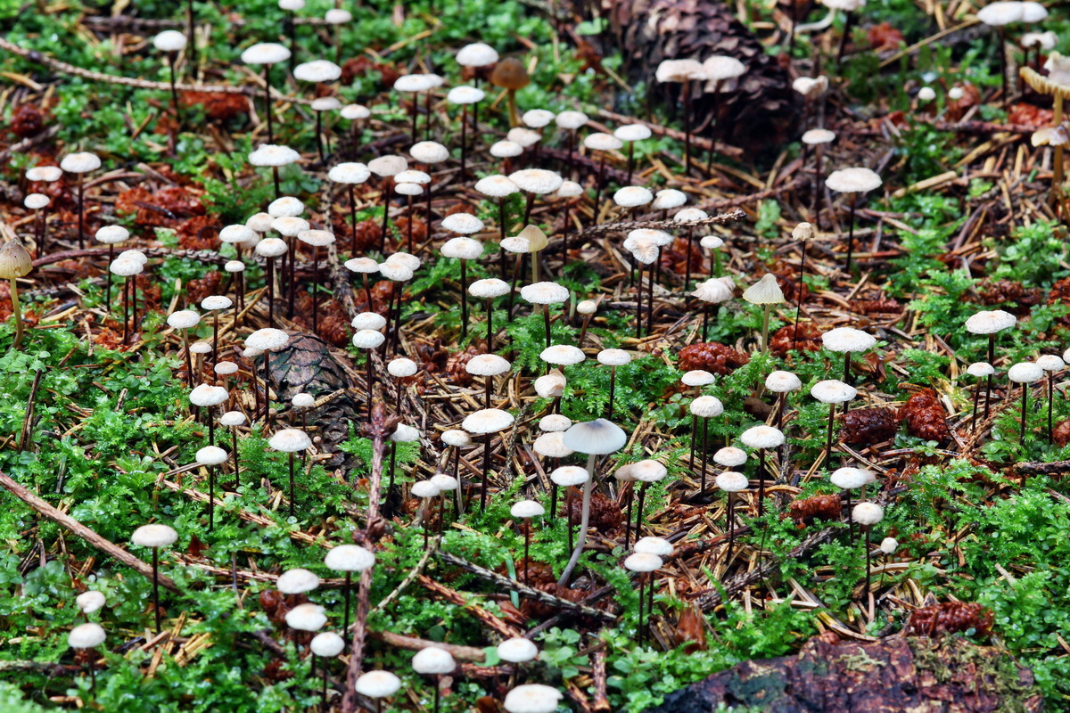 2014_09_08_00050634p_Bildgr��e �ndern