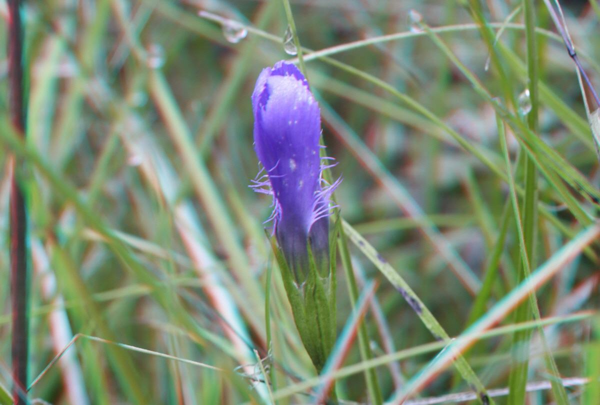 2014_09_08_00050515_3D_Bildgr��e �ndern