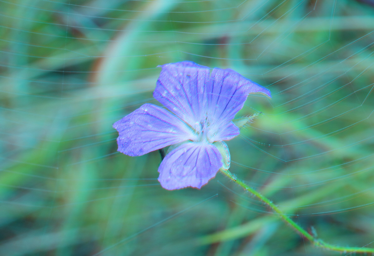 2014_09_08_00050527_3D_Bildgr��e �ndern