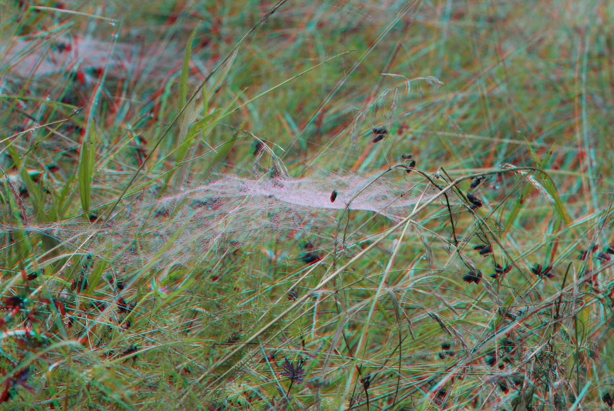 2014_09_08_00050533_3D_Bildgr��e �ndern