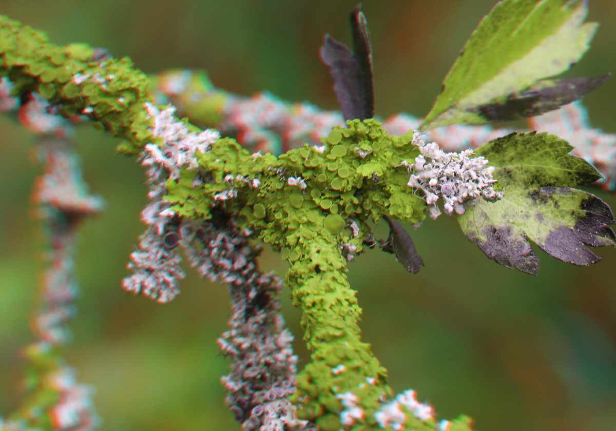 2014_09_08_00050545_3D_Bildgr��e �ndern