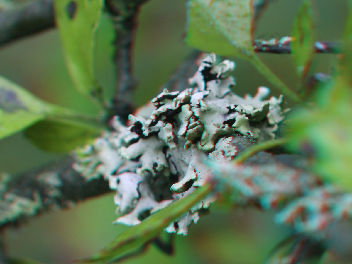 2014_09_08_00050550_3D_Bildgr��e �ndern