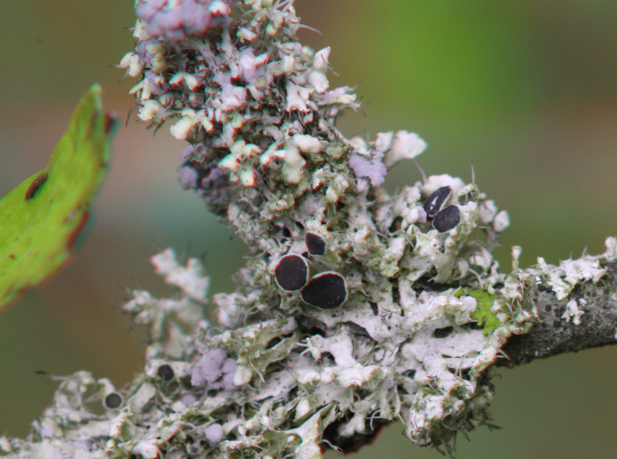 2014_09_08_00050567_3D_Bildgr��e �ndern