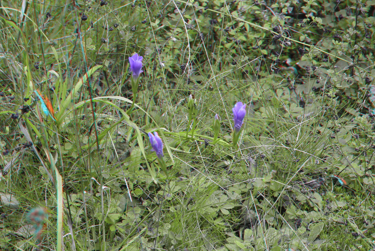 2014_09_08_00050577_3D_Bildgr��e �ndern