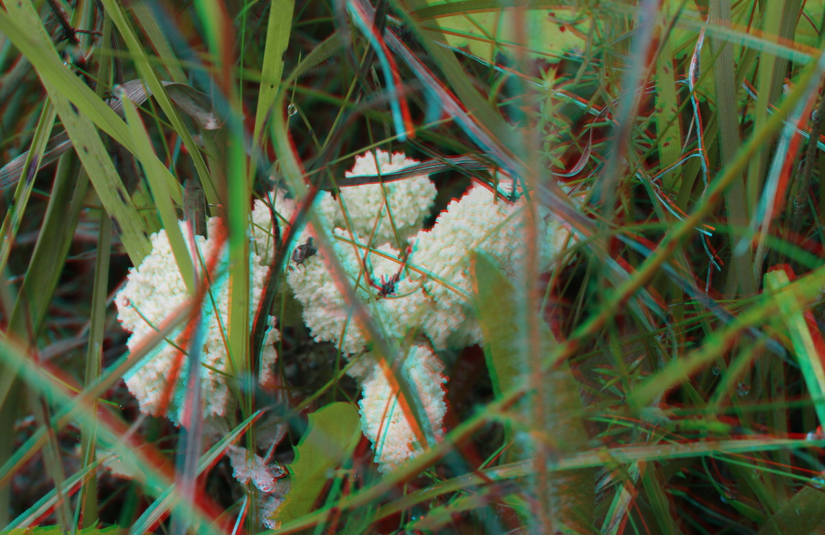 2014_09_08_00050581_3D_Bildgr��e �ndern