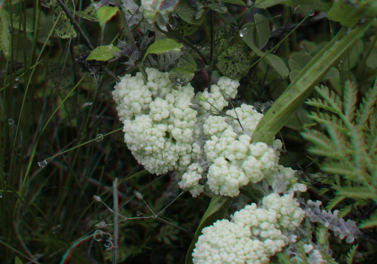 2014_09_08_00050586_3D_Bildgr��e �ndern