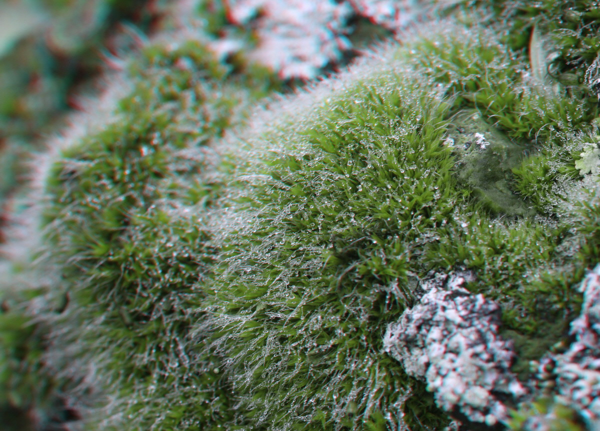 2014_09_08_00050593_3D_Bildgr��e �ndern