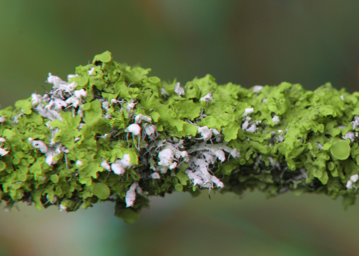 2014_09_08_00050603_3D_Bildgr��e �ndern