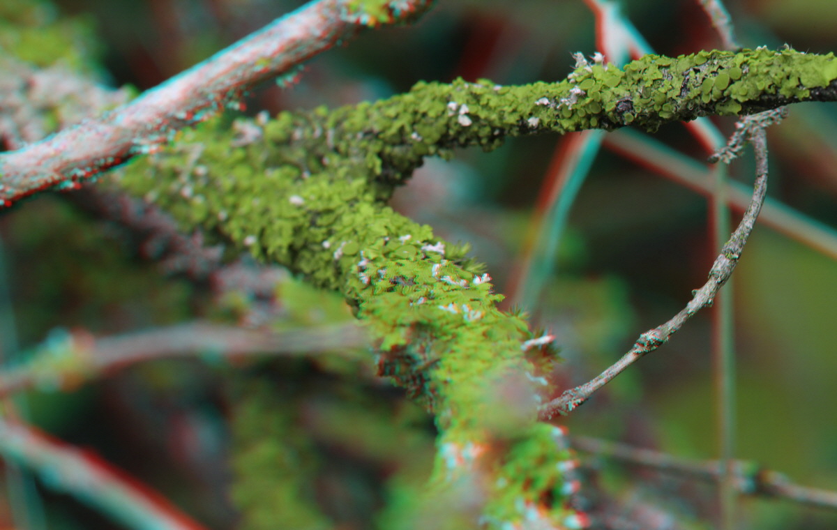 2014_09_08_00050613_3D_Bildgr��e �ndern