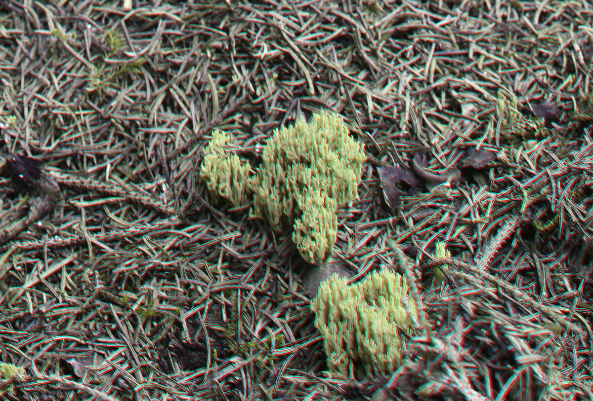 2014_09_08_00050621_3D_Bildgr��e �ndern