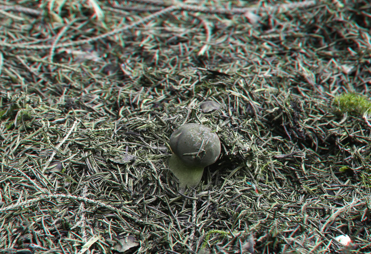 2014_09_08_00050623_3D_Bildgr��e �ndern