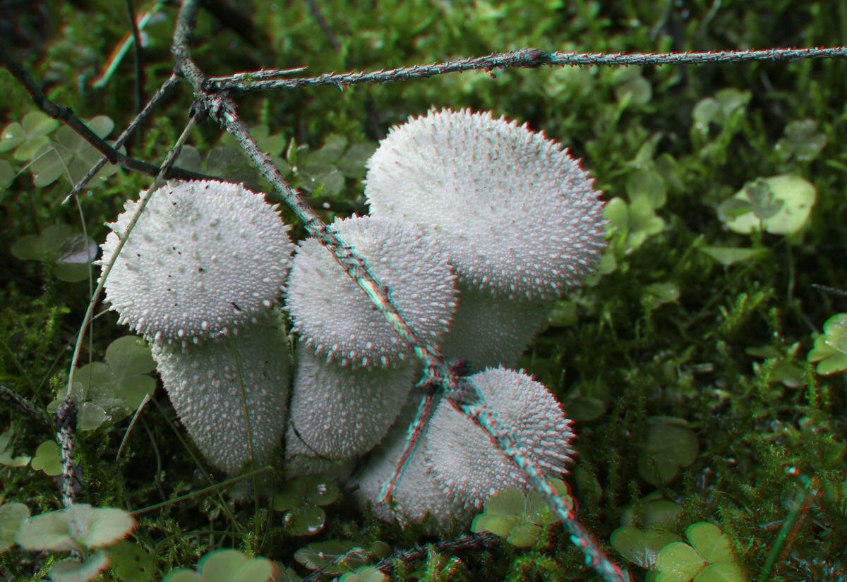 2014_09_08_00050627_3D_Bildgr��e �ndern