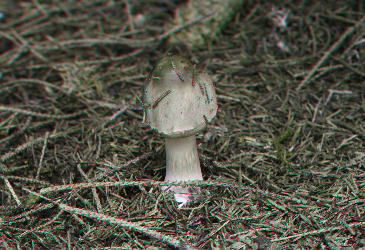 2014_09_08_00050631_3D_Bildgr��e �ndern