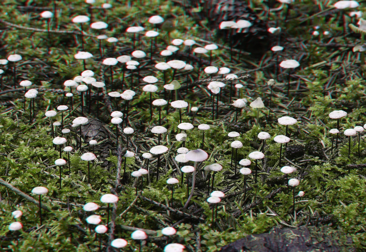 2014_09_08_00050634_3D_Bildgr��e �ndern