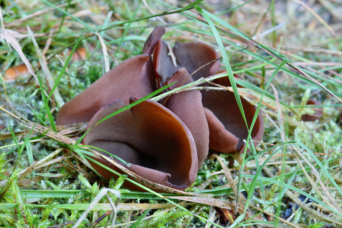 2014_09_09_00050636p_Bildgr��e �ndern