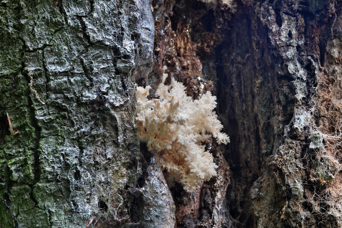 2014_09_09_00050643p_Bildgr��e �ndern