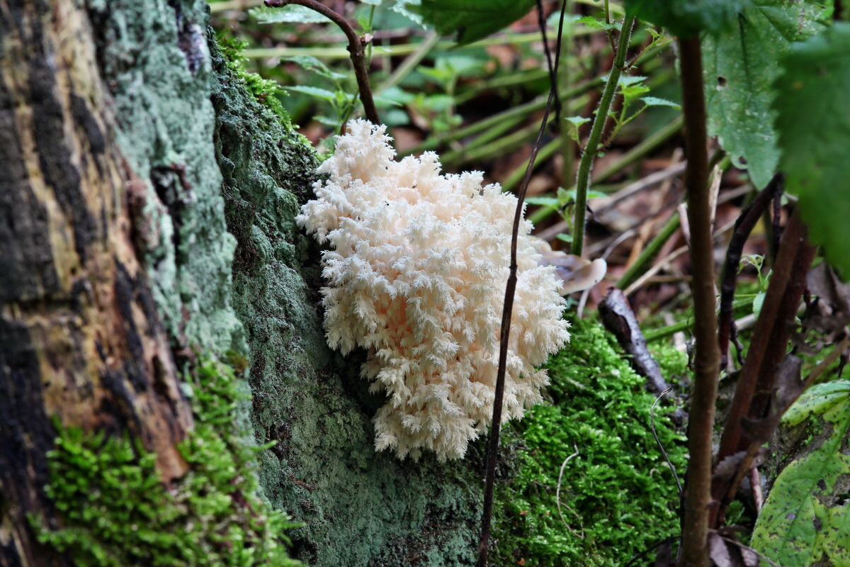 2014_09_09_00050646p_Bildgr��e �ndern