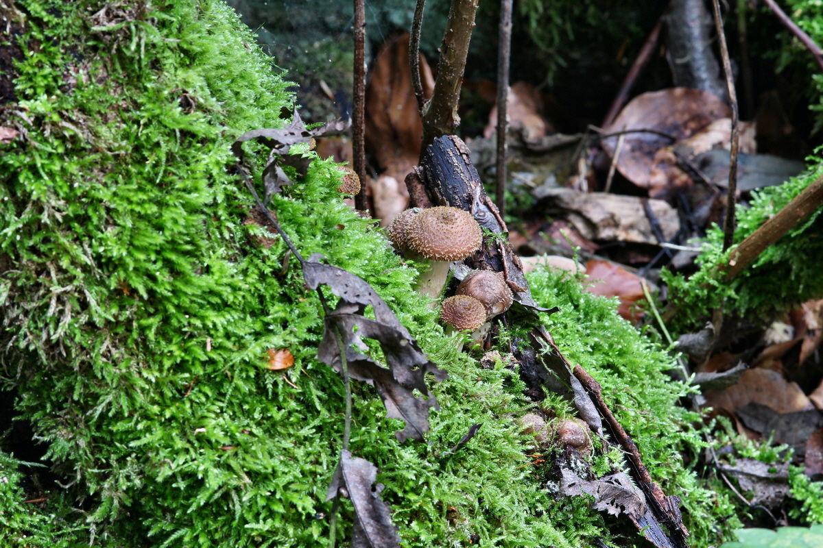 2014_09_09_00050649p_Bildgr��e �ndern