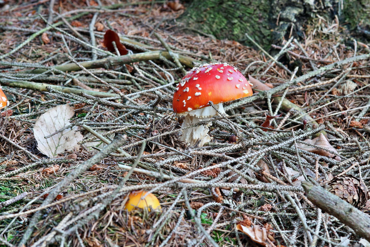 2014_09_09_00050650p_Bildgr��e �ndern