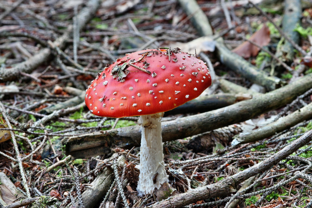 2014_09_09_00050653p_Bildgr��e �ndern