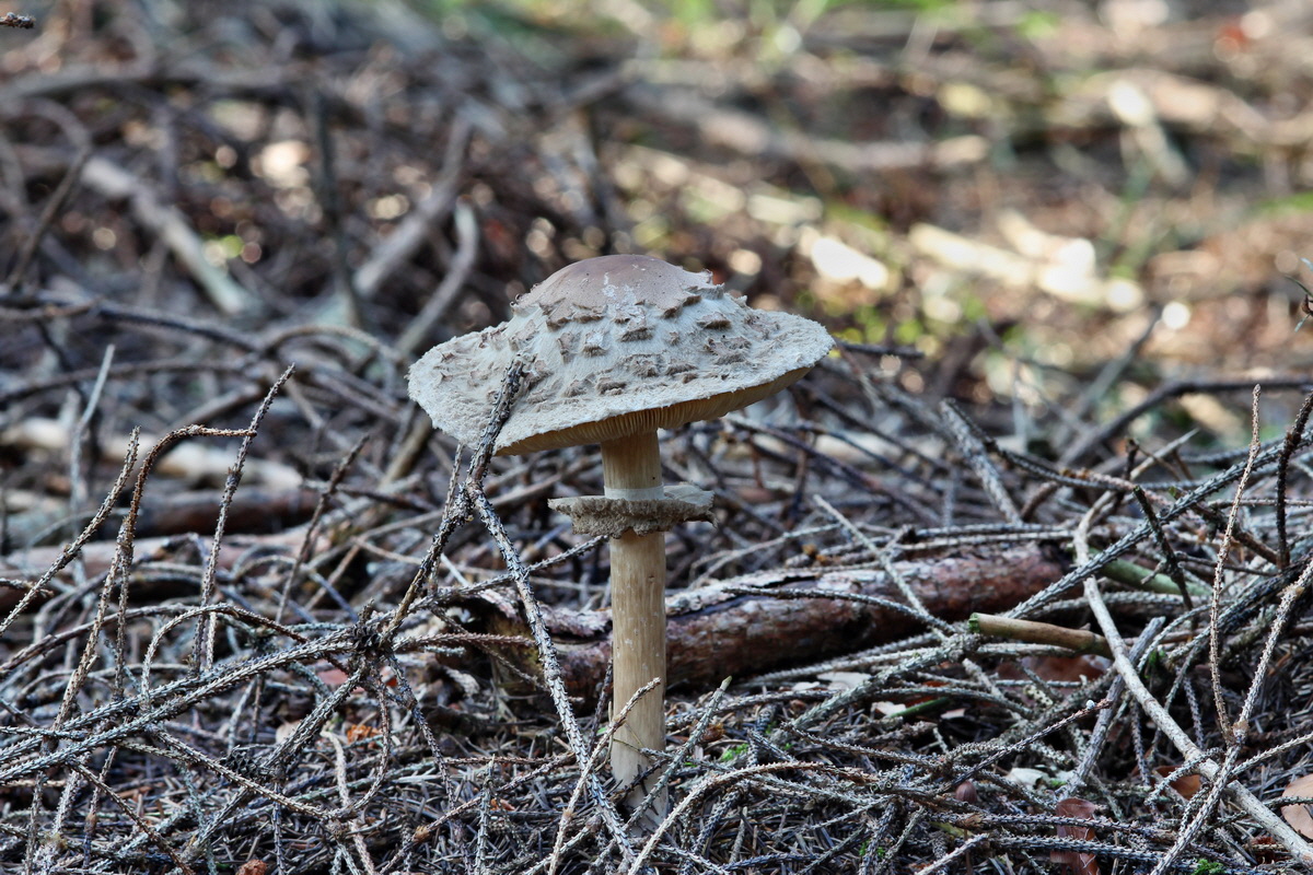 2014_09_09_00050655p_Bildgr��e �ndern