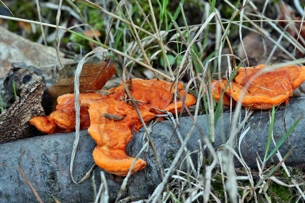 2014_09_09_00050659p_Bildgr��e �ndern