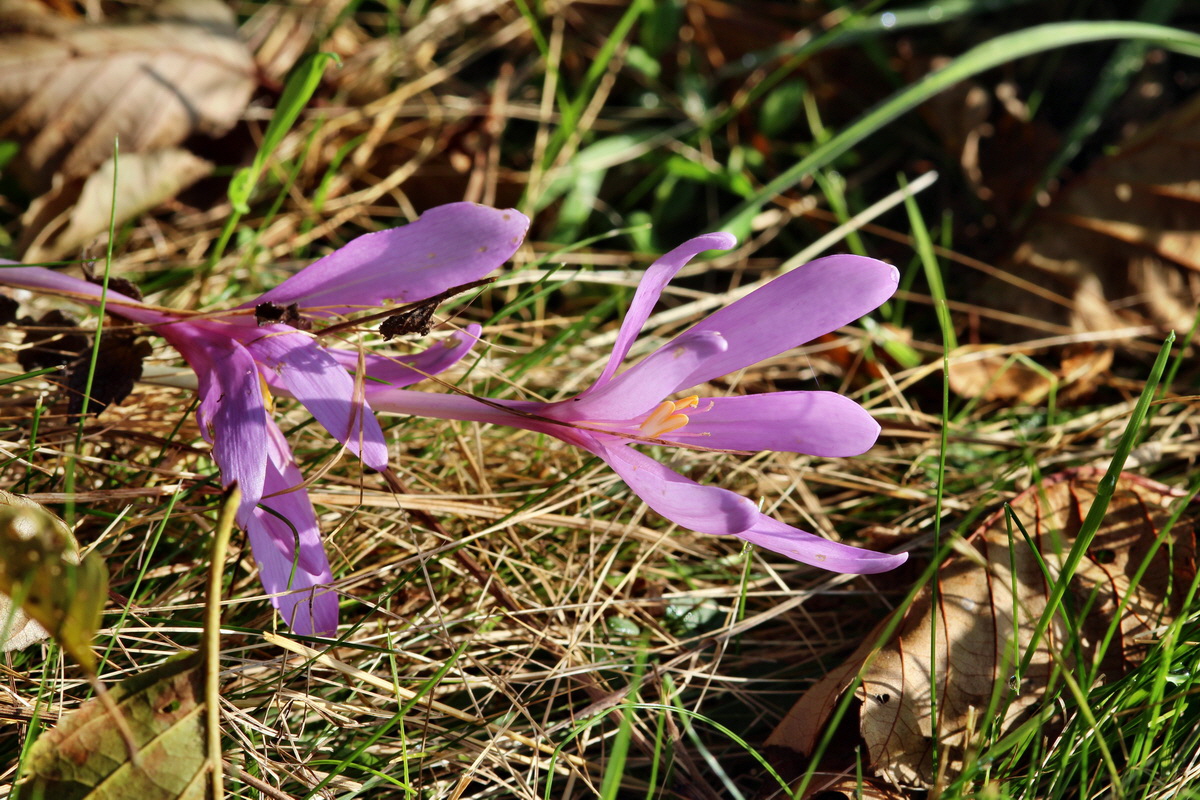 2014_09_09_00050666p_Bildgr��e �ndern