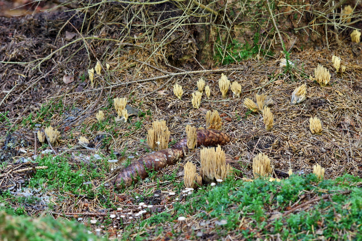 2014_09_09_00050674p_Bildgr��e �ndern