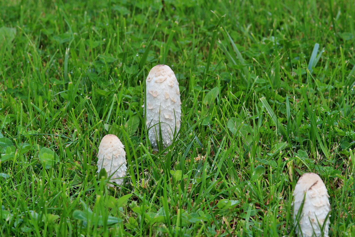 2014_09_09_00050681p_Bildgr��e �ndern