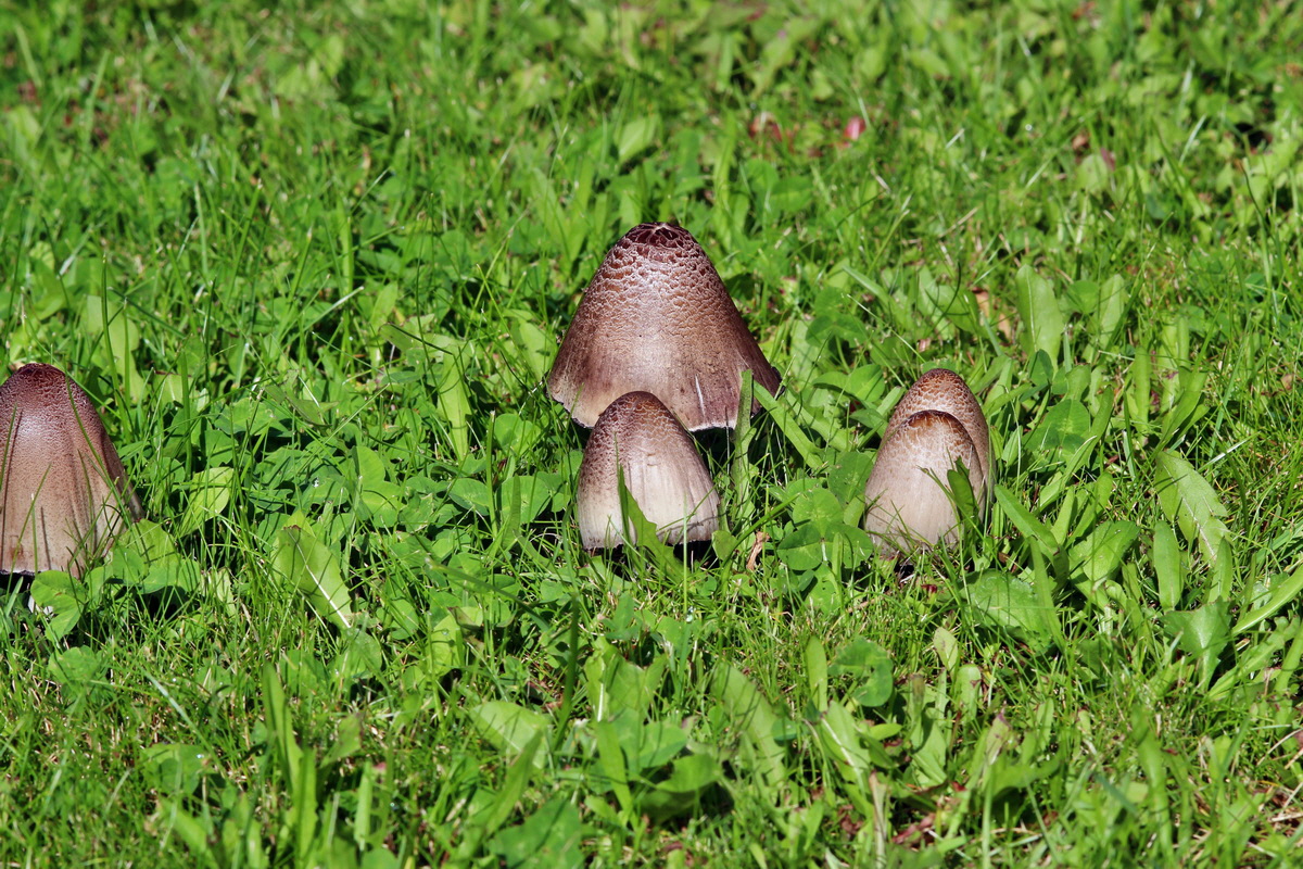 2014_09_09_00050684p_Bildgr��e �ndern