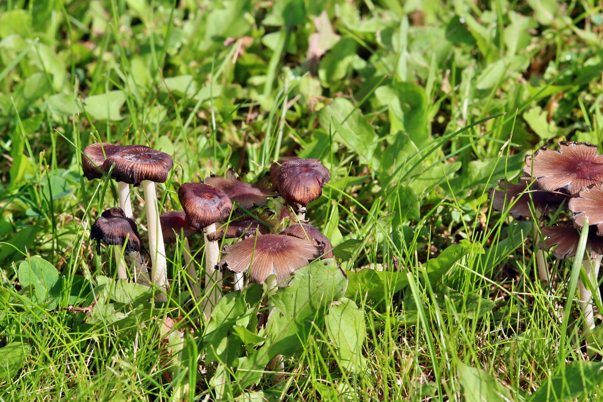 2014_09_09_00050688p_Bildgr��e �ndern