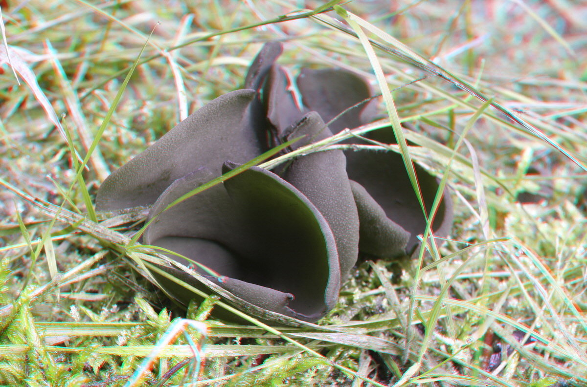 2014_09_09_00050635_3D_Bildgr��e �ndern