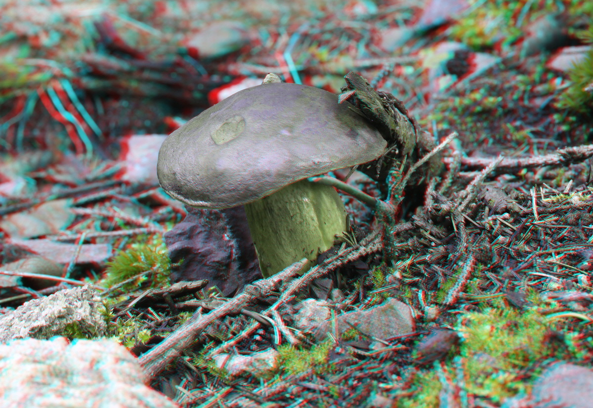 2014_09_09_00050638_3D_Bildgr��e �ndern