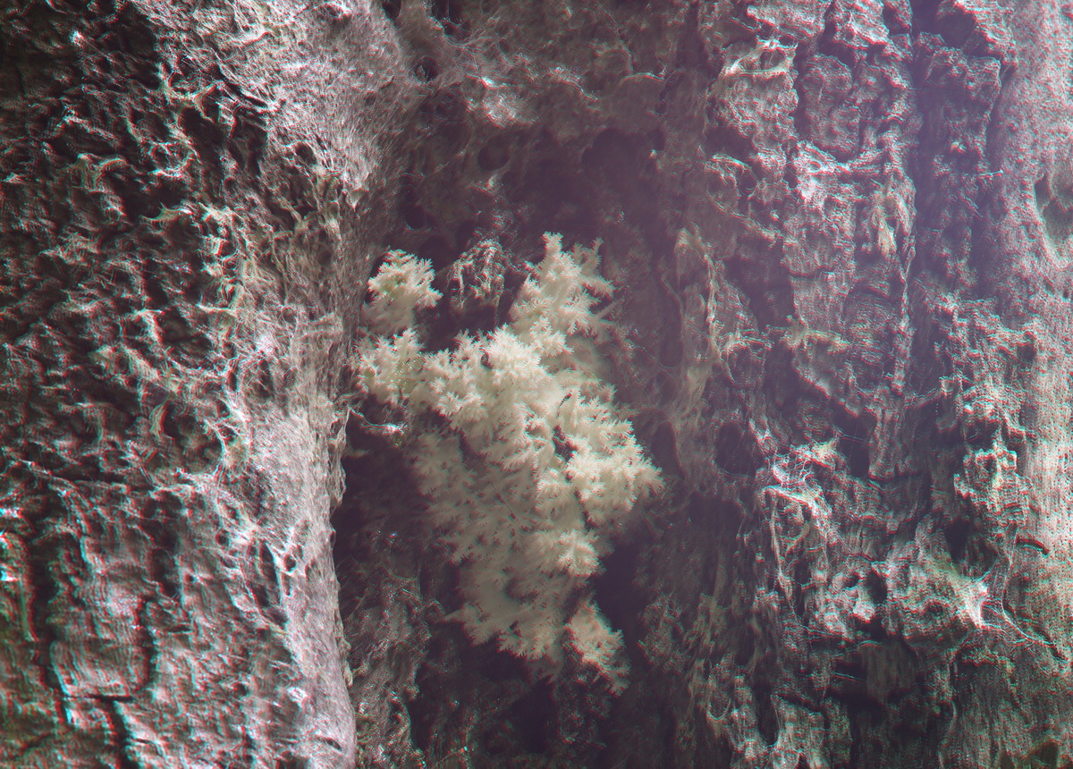 2014_09_09_00050640_3D_Bildgr��e �ndern