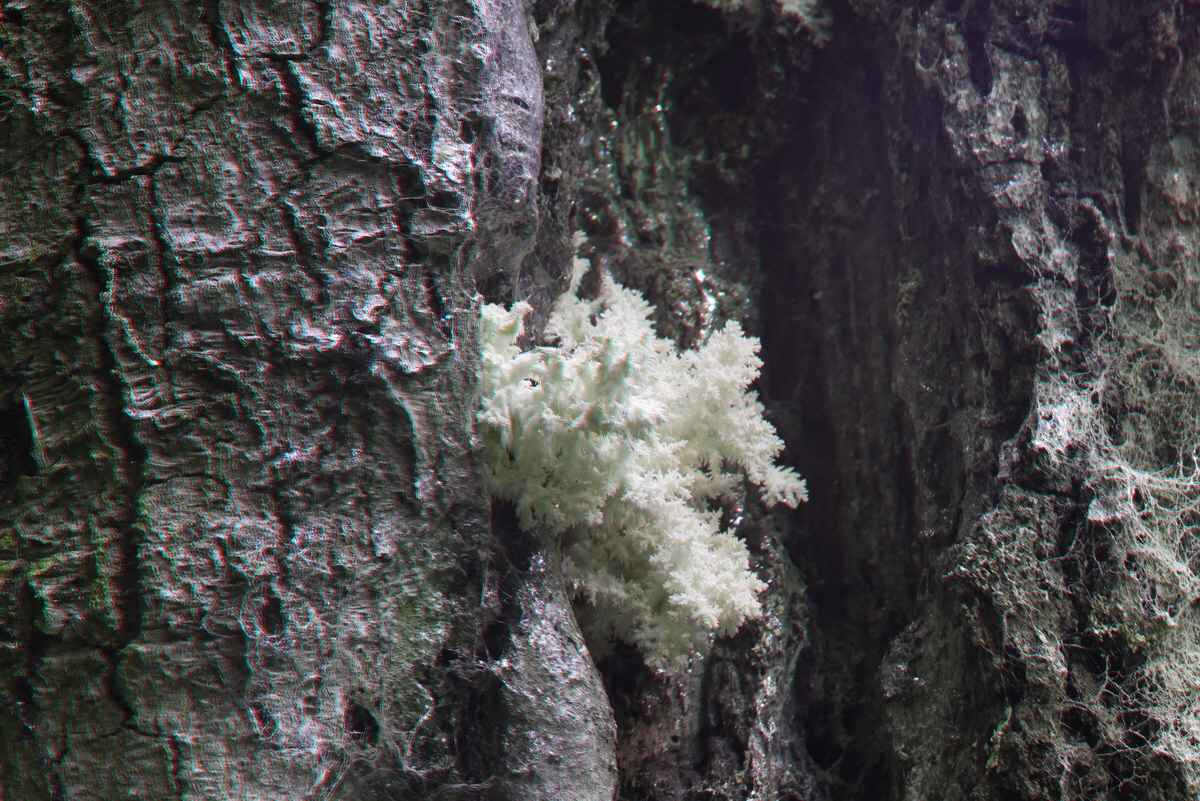 2014_09_09_00050642_3D_Bildgr��e �ndern