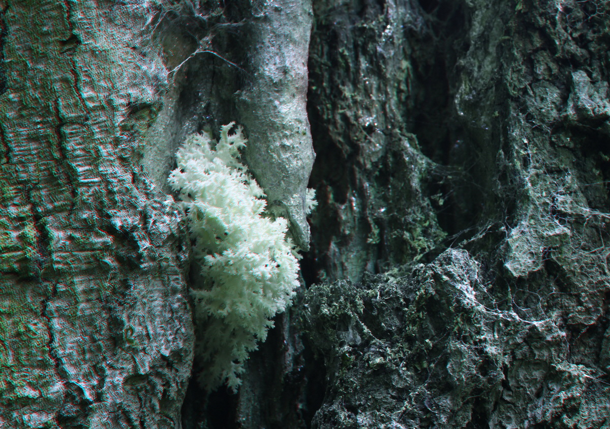 2014_09_09_00050644_3D_Bildgr��e �ndern