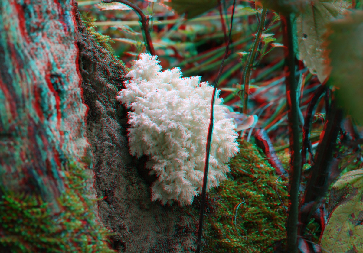 2014_09_09_00050646_3D_Bildgr��e �ndern