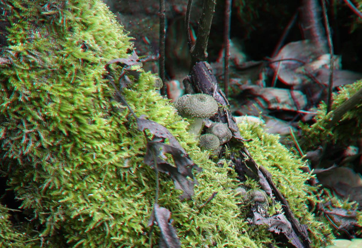 2014_09_09_00050648_3D_Bildgr��e �ndern