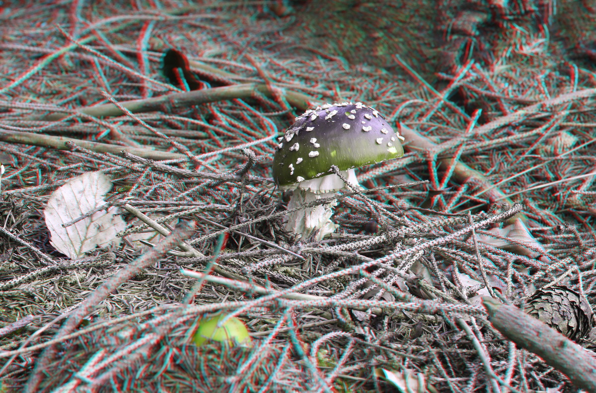 2014_09_09_00050650_3D_Bildgr��e �ndern