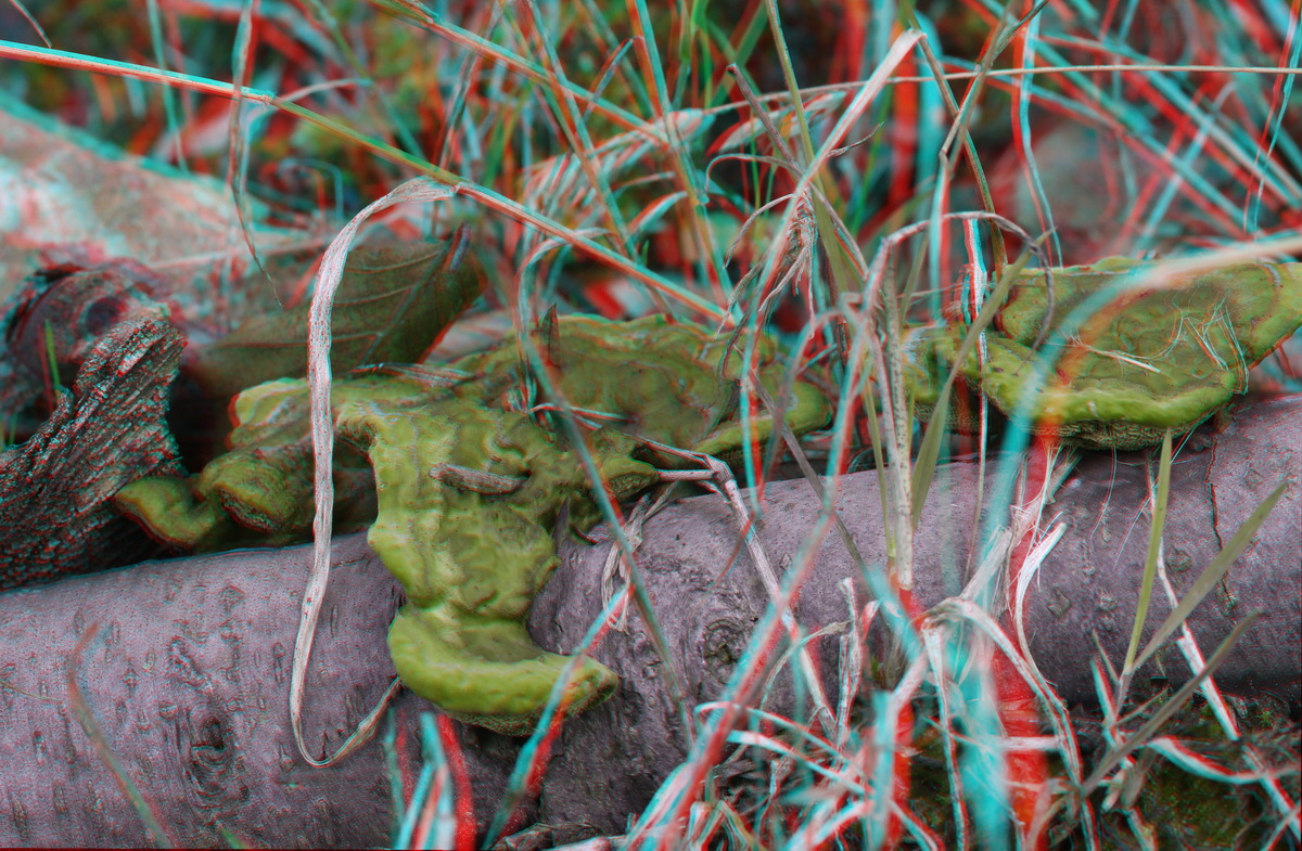 2014_09_09_00050656_3D_Bildgr��e �ndern