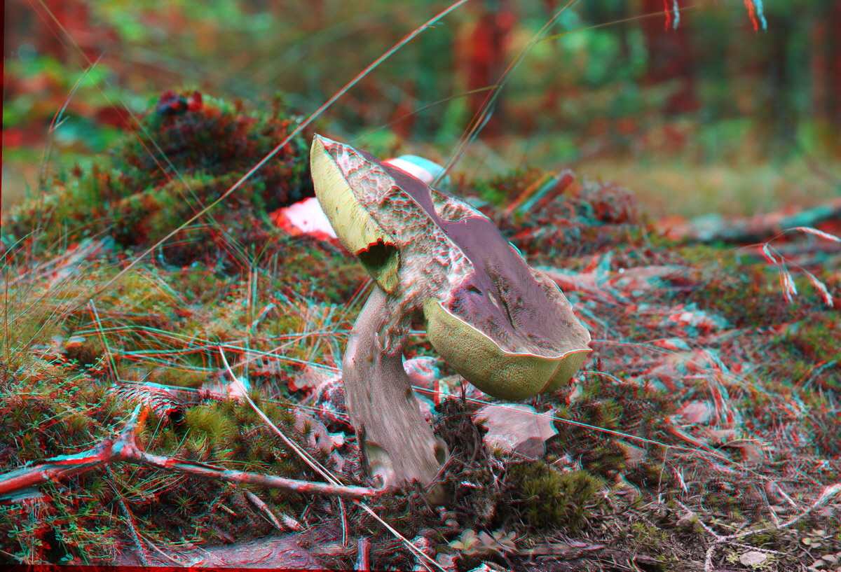 2014_09_09_00050661_3D_Bildgr��e �ndern